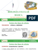2 - Biología Celular Básica