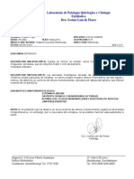 Informes Dr. José Luis Calderón