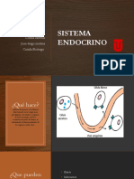 Sistema Endocrino