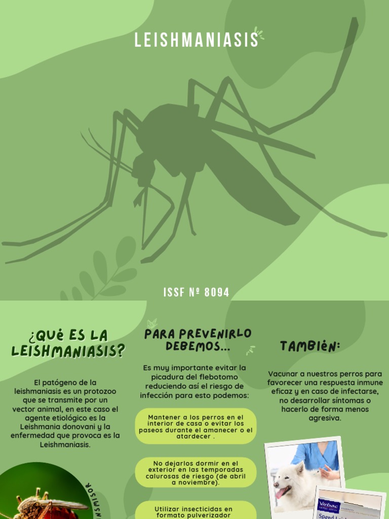 leishmaniasis-pdf-leishmania-infecci-n