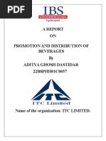 Interim Report PDF