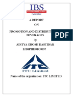 Interim Report PDF