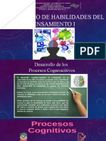 Desarrollo de Habilidades Del Pensamiento I