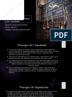 Principio de Imputabilidad y de Causalidad