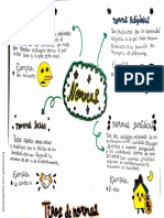 Tarea #3 - Mapa Mental Tipos de Normas