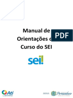 Manual SEI: introdução, fluxos e ferramentas