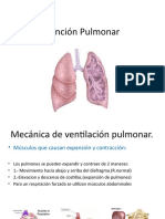 Capacidades Pulmonares