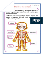 F. Qué Sostiene Mi Cuerpo