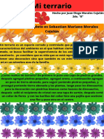 Mi Terrario PDF