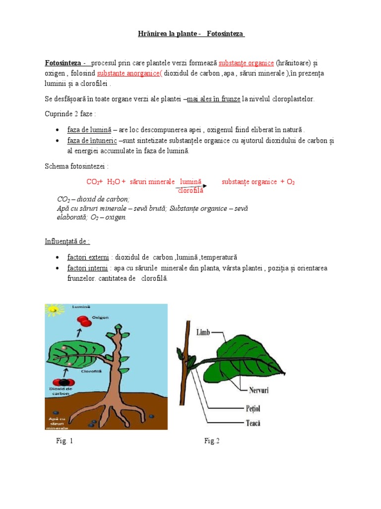 Hranirea La Plante | PDF