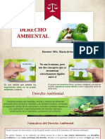 2-Sesion 2 - Derecho Ambiental