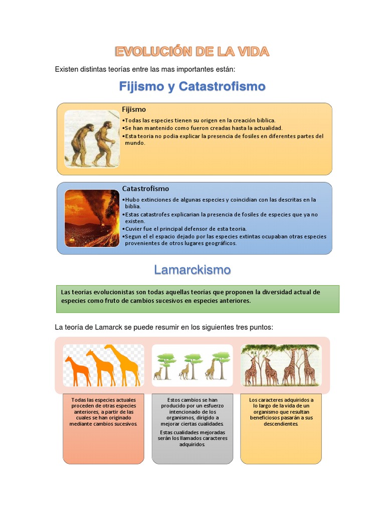 Teorías de la Evolución y Fijismo | PDF | Seleccion natural | Evolución