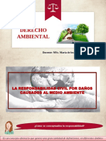 Ponencia Sesion 5 - Derecho Ambiental