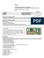 Pauta de Evaluación Unidad 0 - 4° Básico PDF