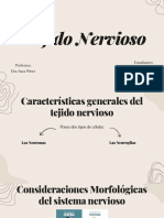 Tejido Nervioso: Características y Funciones