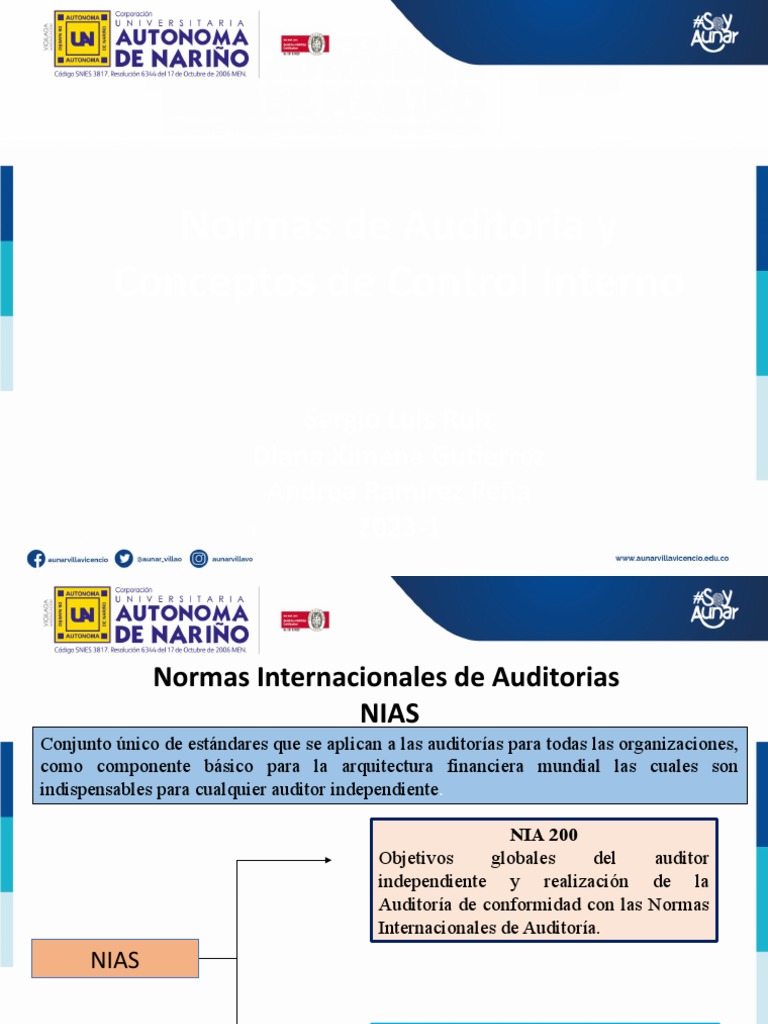 Exposicion Nias | PDF | Auditoría | Contralor