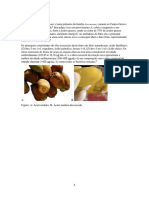 Acuri: propriedades nutricionais e atividade antimicrobiana do fruto e óleo essencial