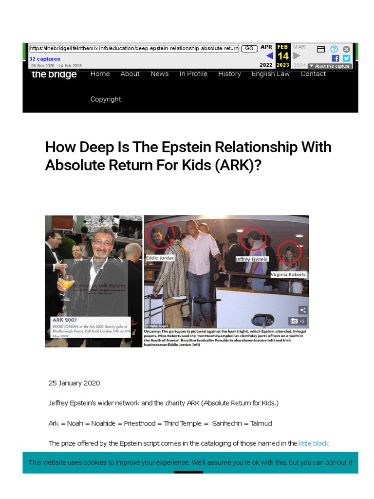 How Deep Is The Epstein Relationship With ARK Absolute Return For Kids ...