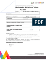 VALENZUELA - PATIÑO - SAID - EvaluaciónPracticaUII PDF