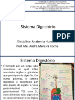 Sistema Digestório