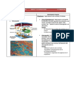 Tema 5 I 6 Organuls Solucionari