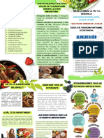 Triptico Metodología PDF