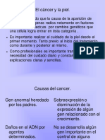 Cáncer y Piel.pdf