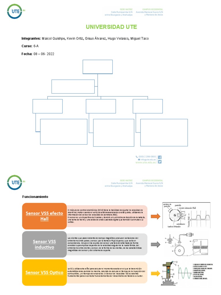 MC Sensor VSS | PDF | Sensor | Velocidad