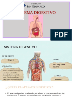 Sistema digestivo humano