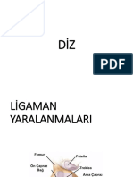 PDF