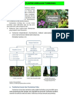 Kingdom Plantae Dan Kingdom Animalia PDF