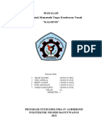 2a - Makalah Tentang Kalsium