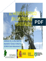 Riesgo Electricos Forestal PDF