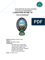 Pilas de Hidrógeno 2 PDF