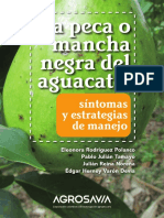 La Peca o Mancha Negra en Aguacate