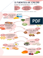 Calcio PDF