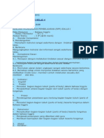 PDF RPP Parts of Body Kelas 4 - Compress