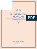 El Sistema Oseo Muscular