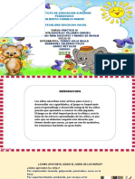 Pautas para Docentes PDF