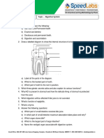 Digestive-System Important-Qs Important-Questions - ICSE