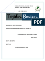  Tipos de Tejido Morfo