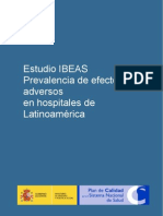 Informe Ibeas