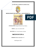 Reconocimiento laboratorio anatomía pinzas disección