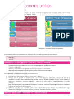 Accidente ofídico: clasificación y manejo