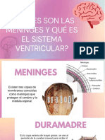 Meninges, Sis. Ventricular y LCR