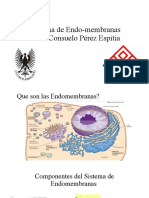 Sistema de Endomembranas 2022
