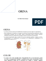 ORINA Laboratorio