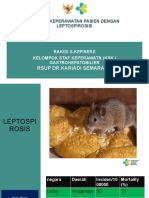 LEPTOSPIROSIS