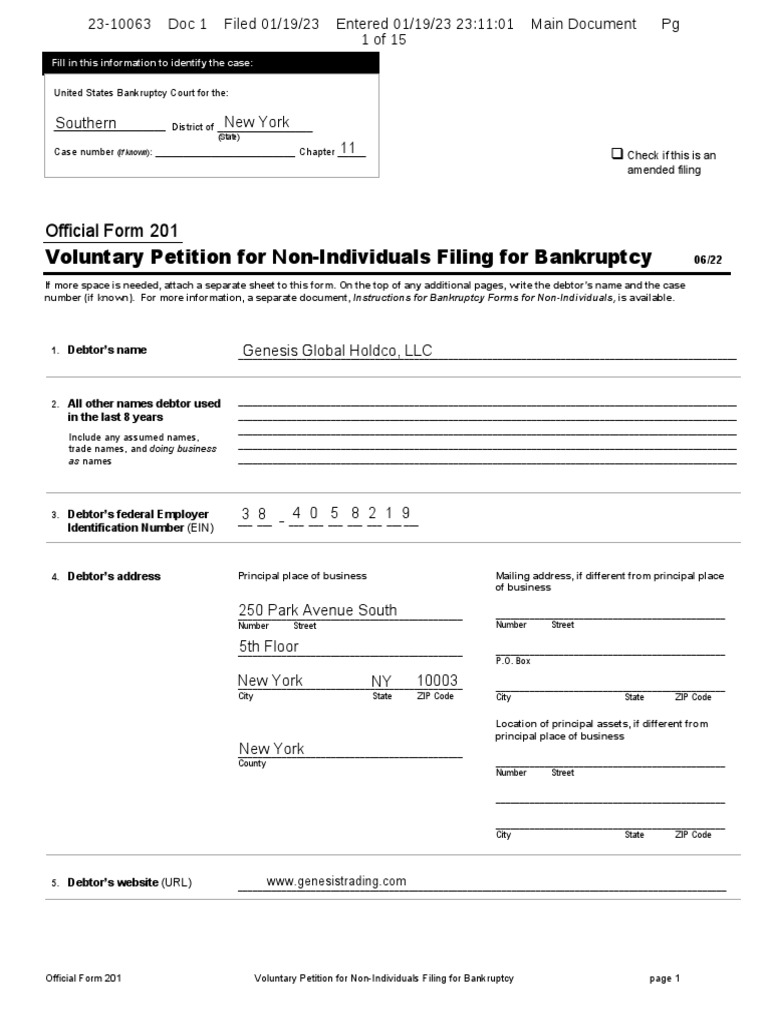 Voluntary Petition For Non-Individuals Filing For Bankruptcy | PDF ...