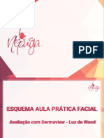 AvaliacÌ Aì o Com Dermaview - Material Extra - 2019 PDF